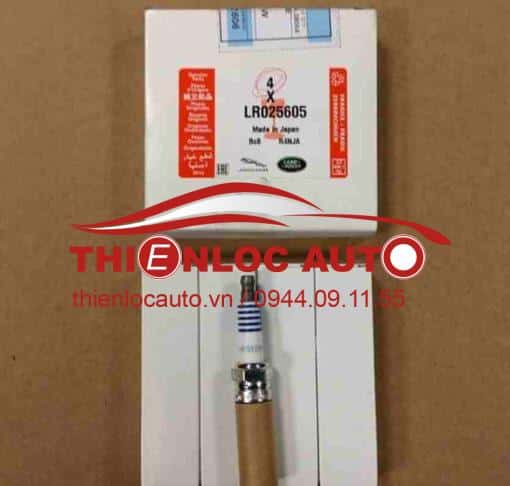 BUGI-DANH-LUA-RANG-ROVER-EVOQUE