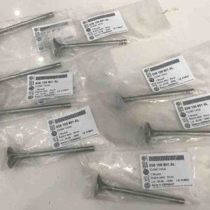 xup páp xả audi A4, A6