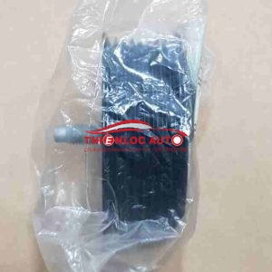 BI TỲ CAM JAGUAR XF