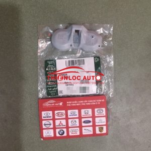 CẢM BIẾN ÁP SUẤT LỐP AUDI A8